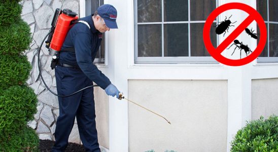 Gemerek Fare İlaçlama böcek ilaçlama ve haşere kontrolü — ilaclama-tr.com